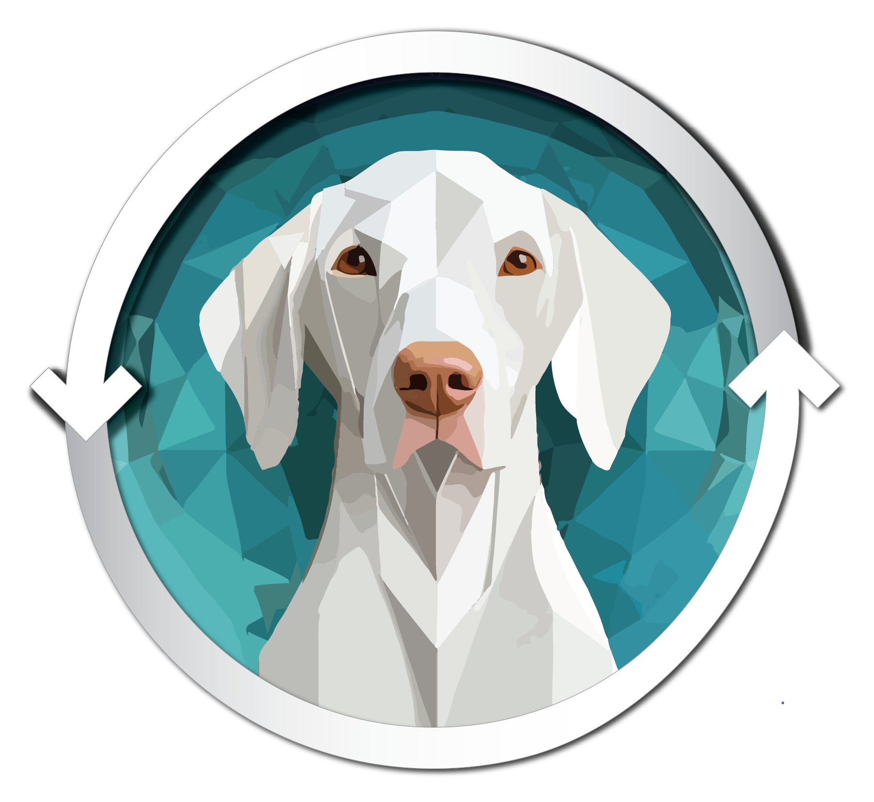 VISIT VIZSLASWAP